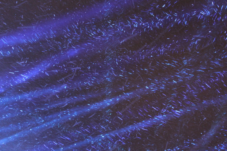 Американский артист Ховард представит новый трек на Интервидении